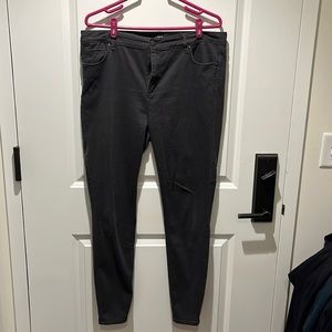 Loft Ponte Leggings
